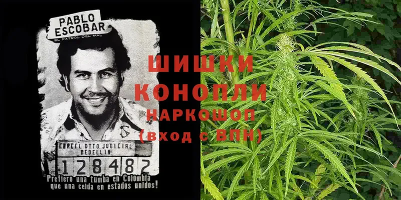 Каннабис Ganja  Горбатов 